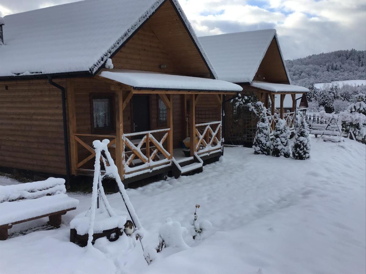 Domki Zlota Rybka Nad Jeziorem Solinskim Zawóz Exterior foto