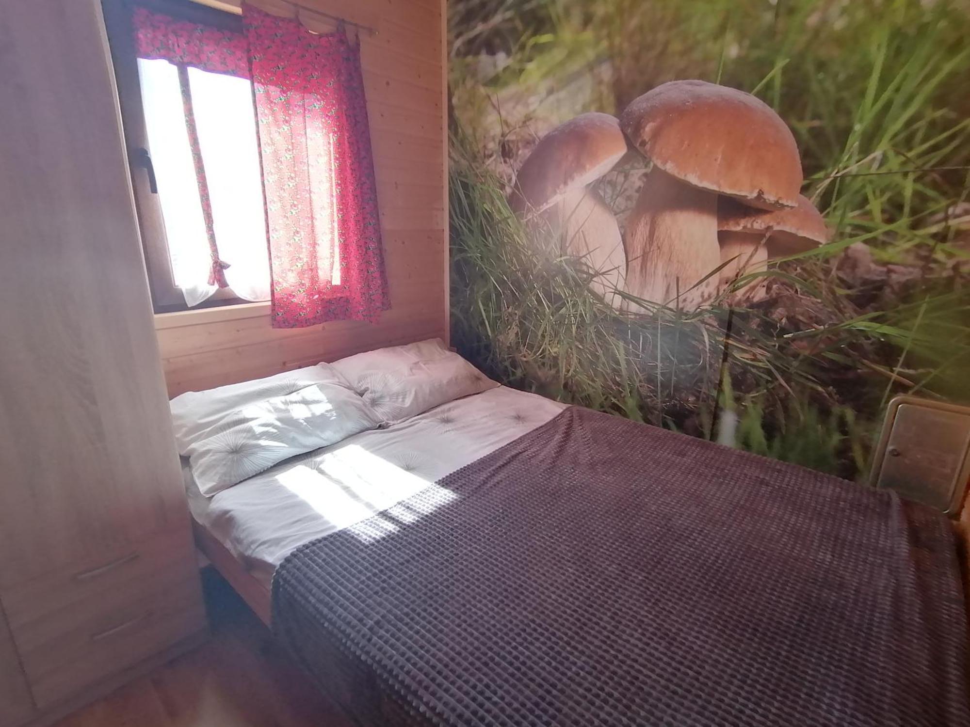 Domki Zlota Rybka Nad Jeziorem Solinskim Zawóz Exterior foto