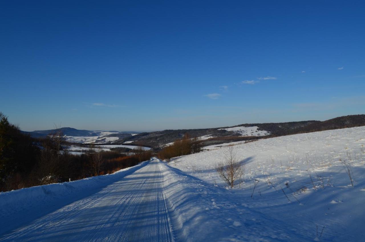 Domki Zlota Rybka Nad Jeziorem Solinskim Zawóz Exterior foto